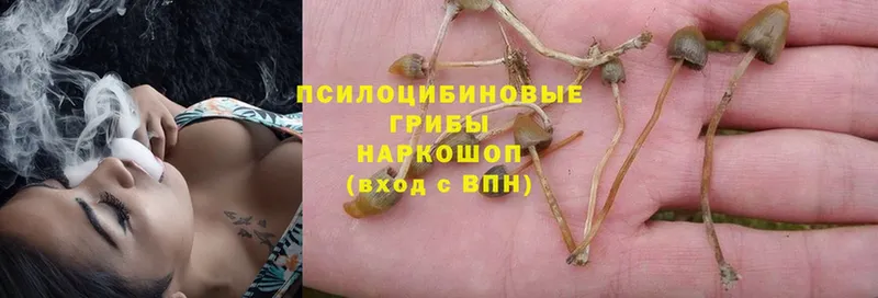 наркотики  Нариманов  Псилоцибиновые грибы MAGIC MUSHROOMS 